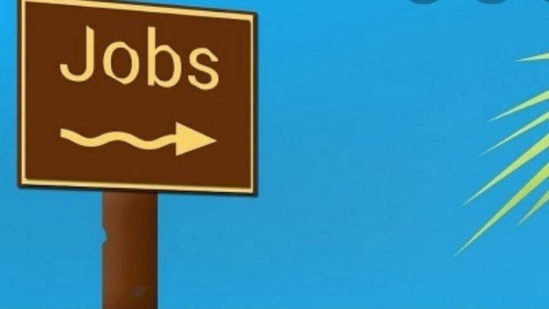 job-consultancy-surat-1-edit-big